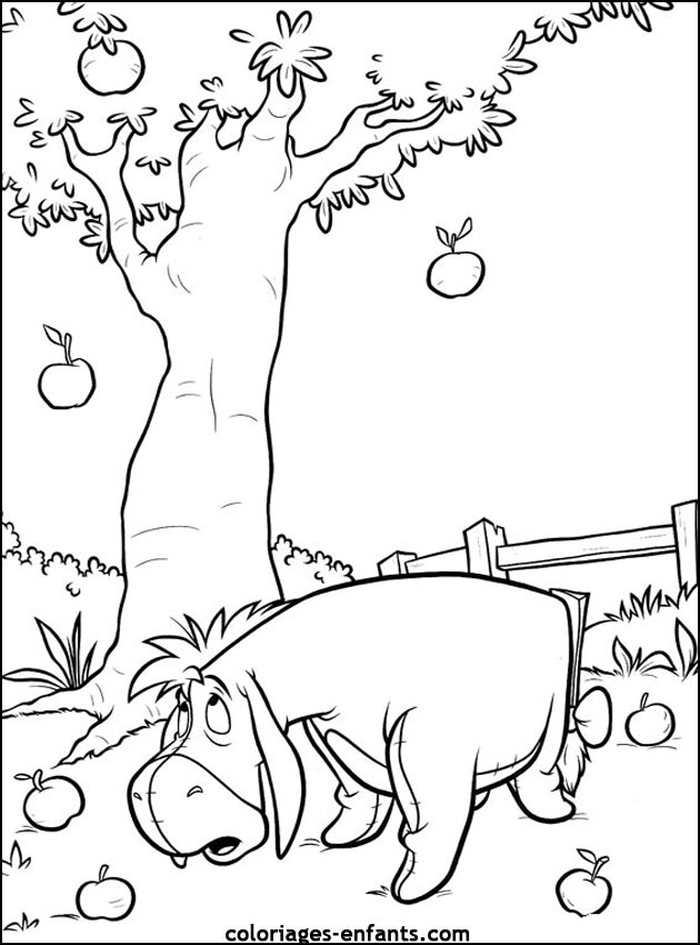 coloriage d'ne gratuit