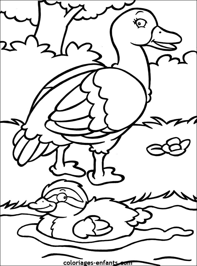 Dessin de canard  colorier pour les enfants