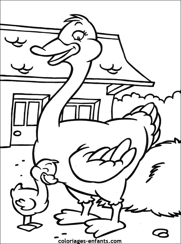 Dessin de canard  colorier pour les enfants