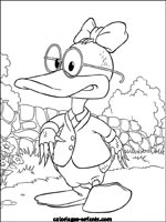 Coloriages de canards