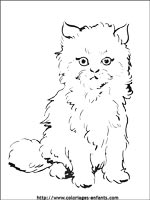 Coloriages de chats