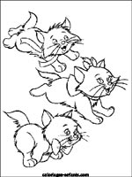 Coloriages de chats