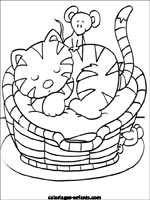 Coloriages de chats