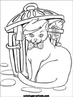 Coloriages de chats