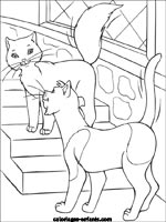 Coloriages de chats