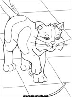 Coloriages de chats