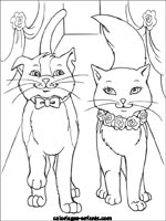 Coloriages de chats