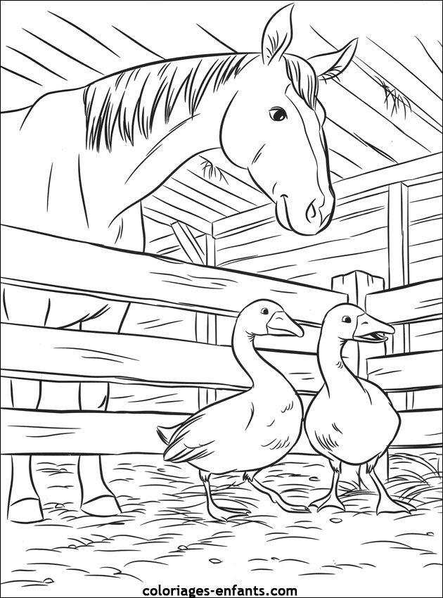 coloriages de chevaux pour enfants
