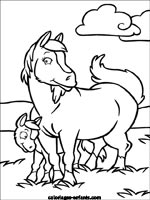 Coloriages de chevaux