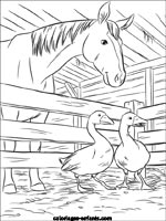 Coloriages de chevaux