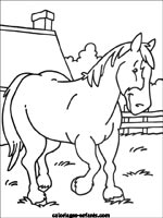 Coloriages de chevaux