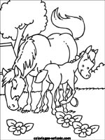 Coloriages de chevaux