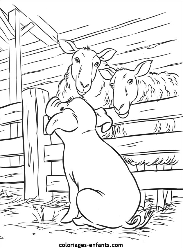 coloriage de cochon pour les enfants