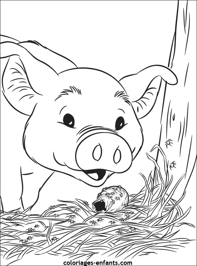 coloriage de cochon pour les enfants