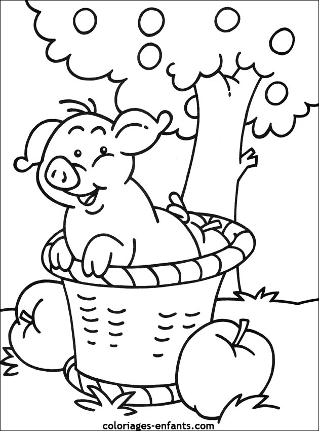 coloriage de cochon pour les enfants