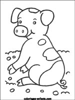 Coloriages de cochons