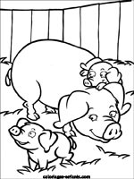 Coloriages de cochons