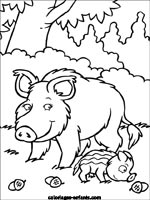 Coloriages de cochons