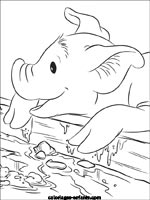 Coloriages de cochons