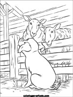 Coloriages de cochons