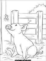 Coloriages de cochons