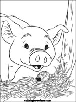 Coloriages de cochons