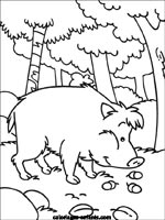 Coloriages de cochons