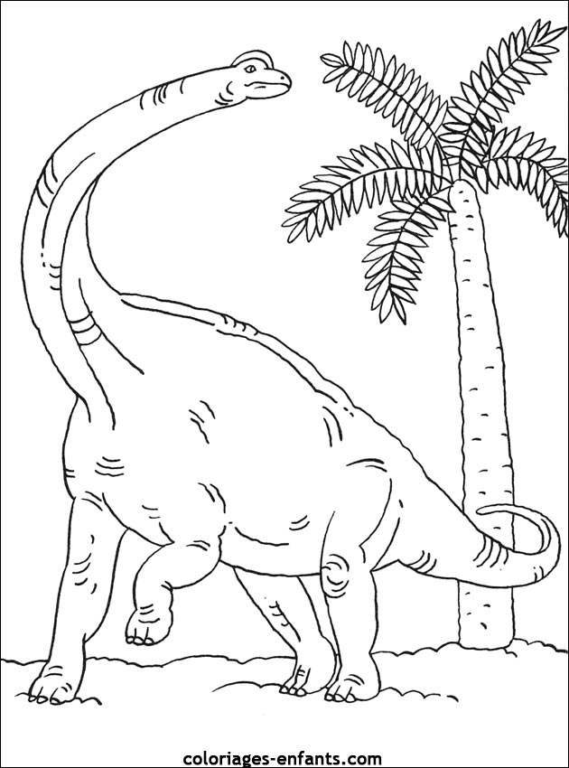 coloriage de dinosaure