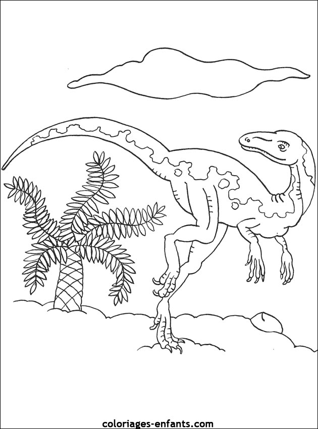 coloriage de dinosaure