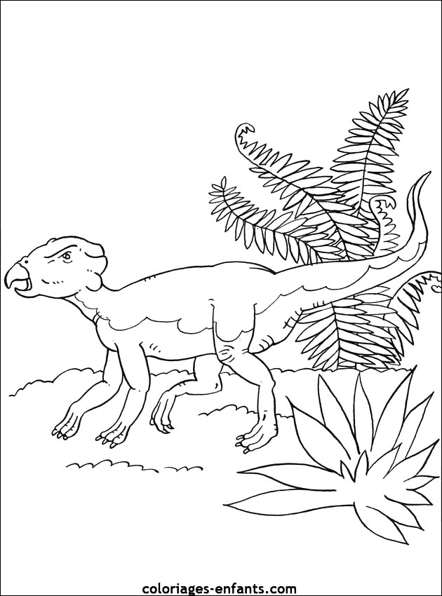 coloriage de dinosaure