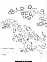 Coloriages de dinosaures