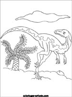 Coloriages de dinosaures