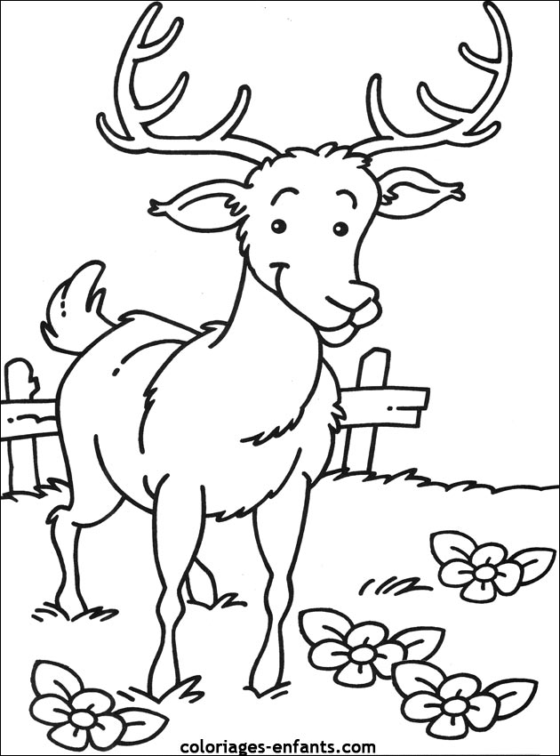 coloriage d'animaux  imprimer pour les enfants