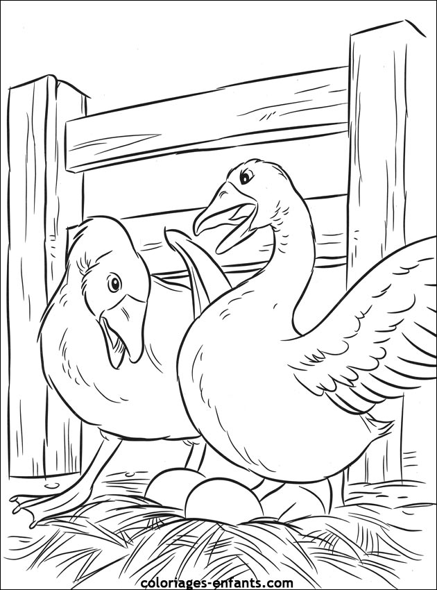 coloriage d'animaux  imprimer pour les enfants