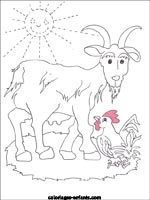 Coloriages d'animaux