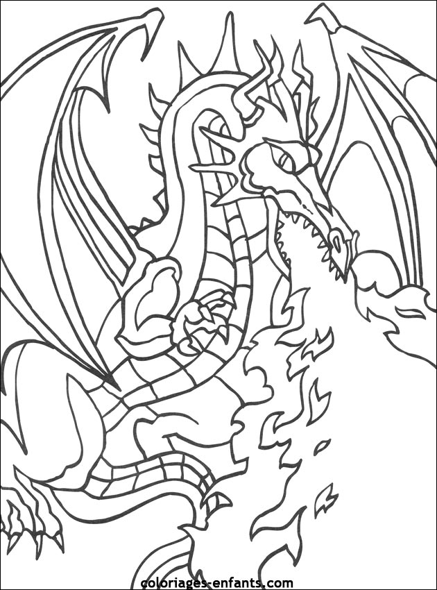 dessin de dragon  colorier