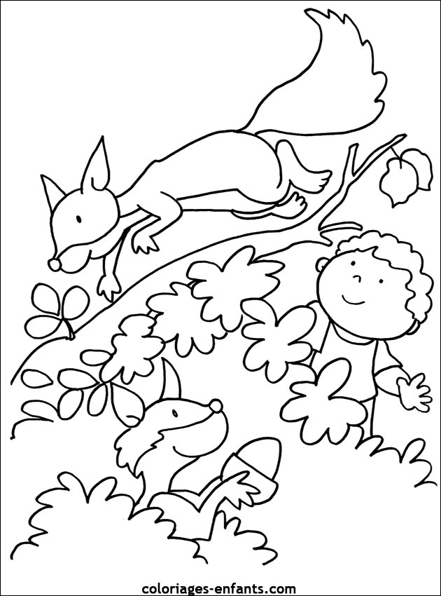 coloriage d'cureuil