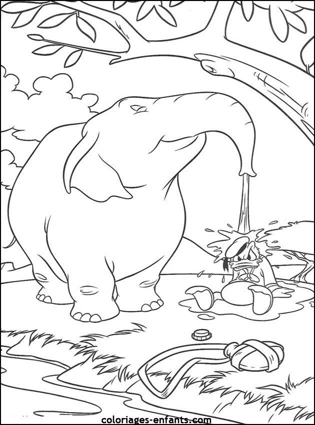 coloriage d'lphant - dessin  colorier d'animaux