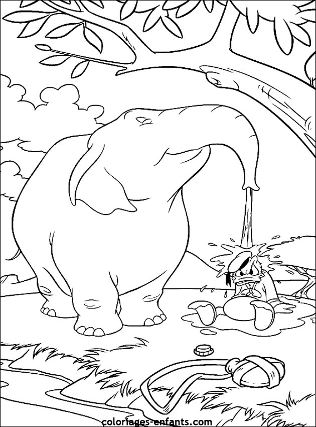 coloriage d'lphant - dessin  colorier d'animaux