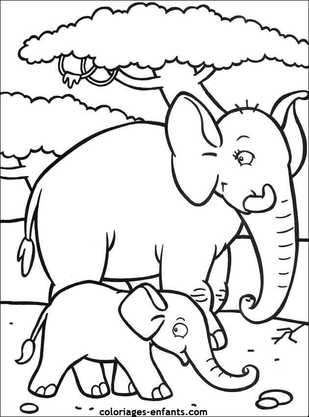 coloriage d'lphant - dessin  colorier d'animaux