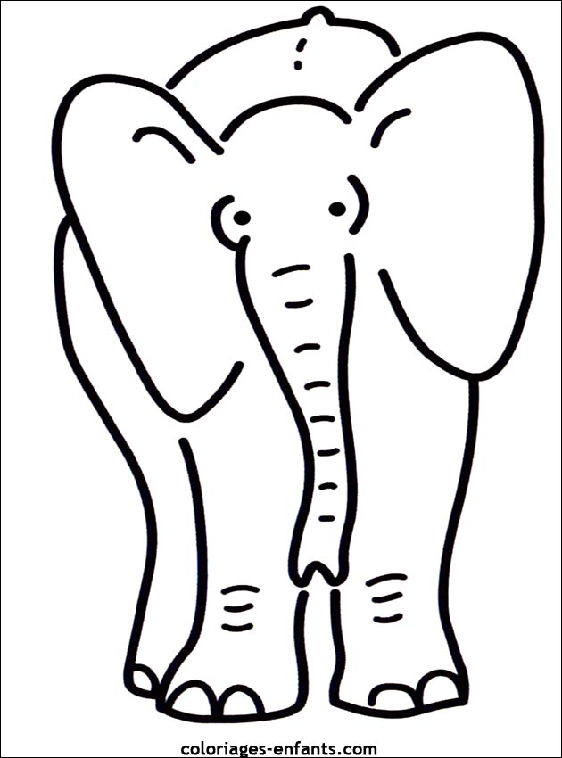 coloriage d'lphant - dessin  colorier d'animaux