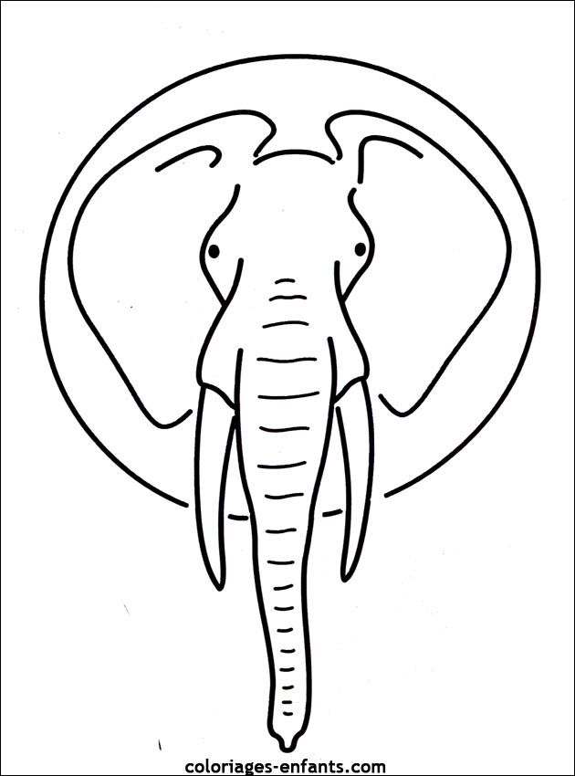 coloriage d'lphant - dessin  colorier d'animaux