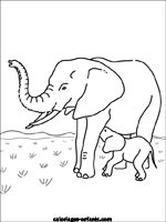 Coloriages d'éléphants