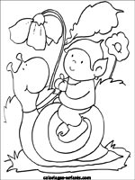 Coloriages d'escargots