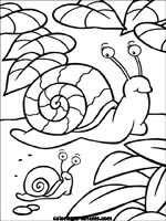 Coloriages d'escargots