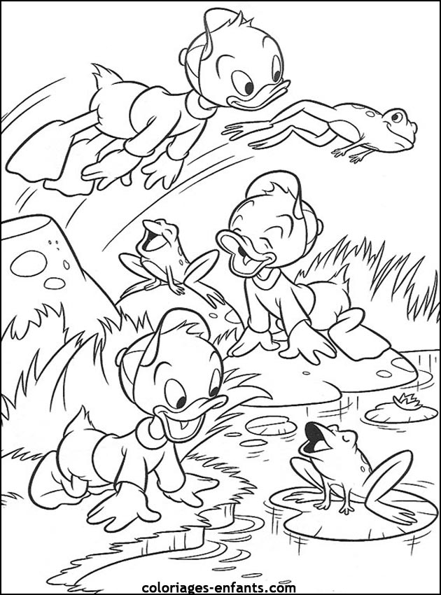 coloriage de grenouille sur coloriages-enfants.com