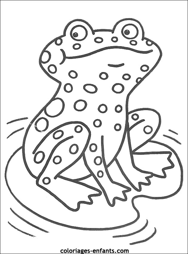 coloriage de grenouille sur coloriages-enfants.com