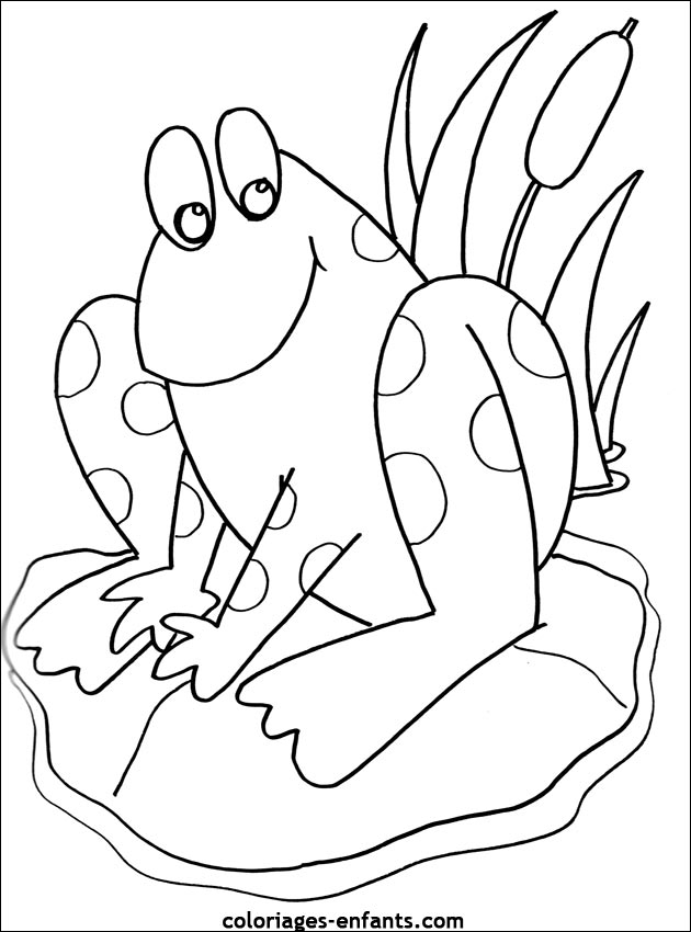 coloriage de grenouille sur coloriages-enfants.com