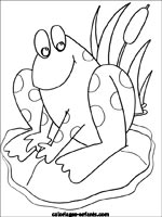 Coloriages de grenouilles