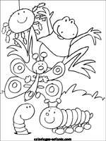 Coloriages de grenouilles